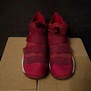 Nike Lebron red shoes